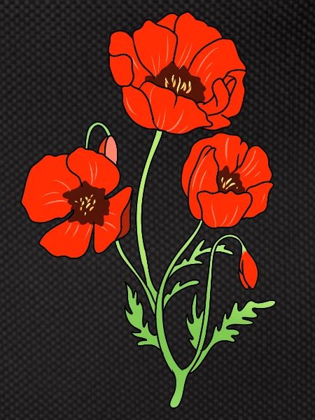 Mohnblume