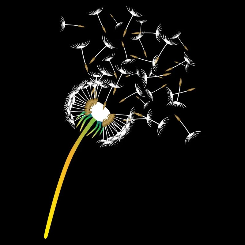 Pusteblume (dandelion)