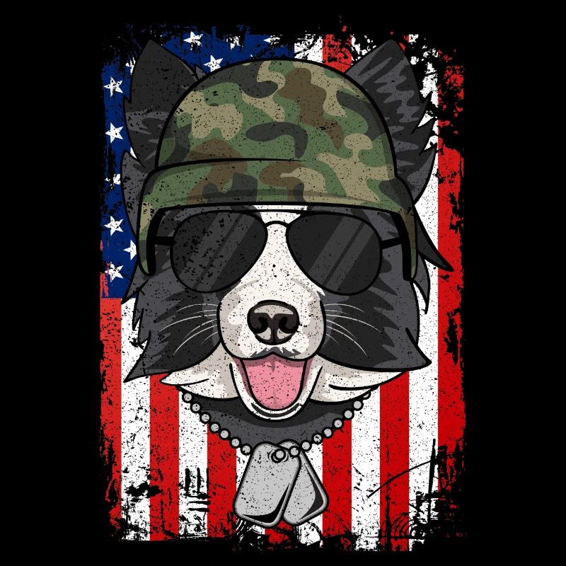 BORDER COLLIE