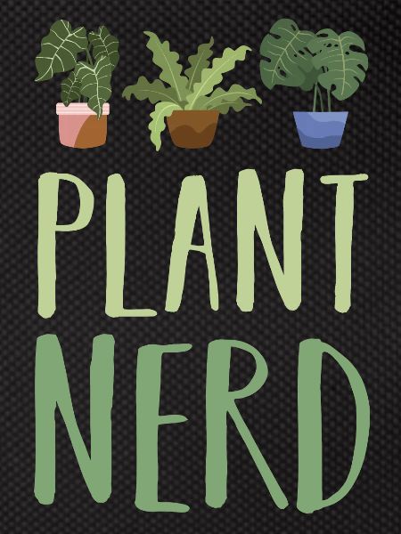 Plant Plants