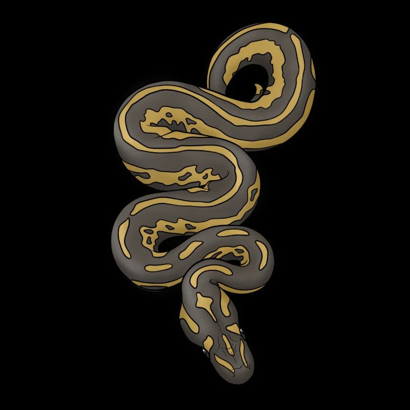 Python/Schlange