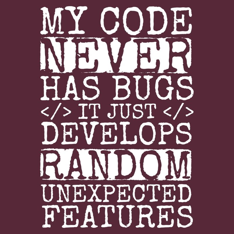 Software Ingenieur Informatiker Programmierer