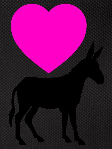 Donkey