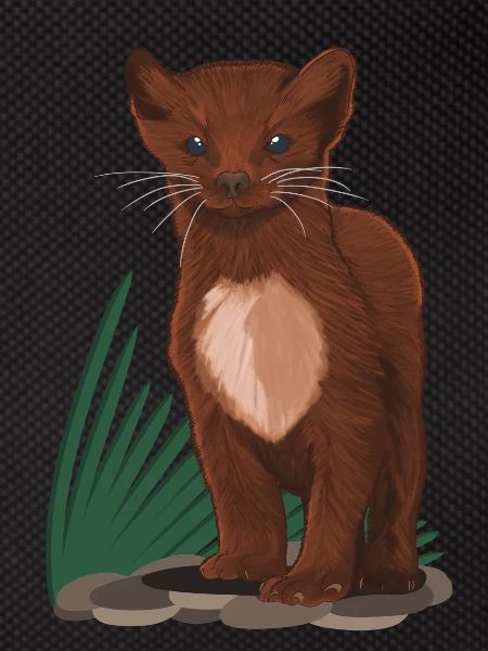 Marten
