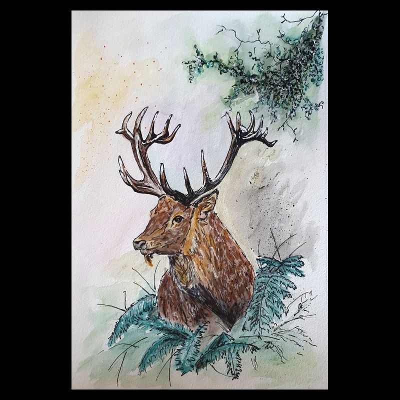Hirsch Deer