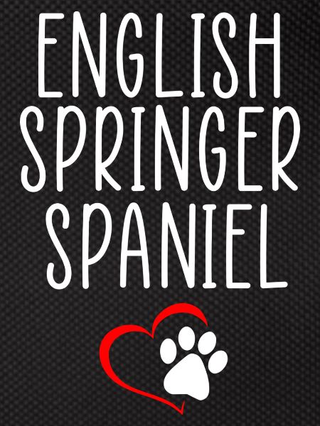 Citation springer anglaise