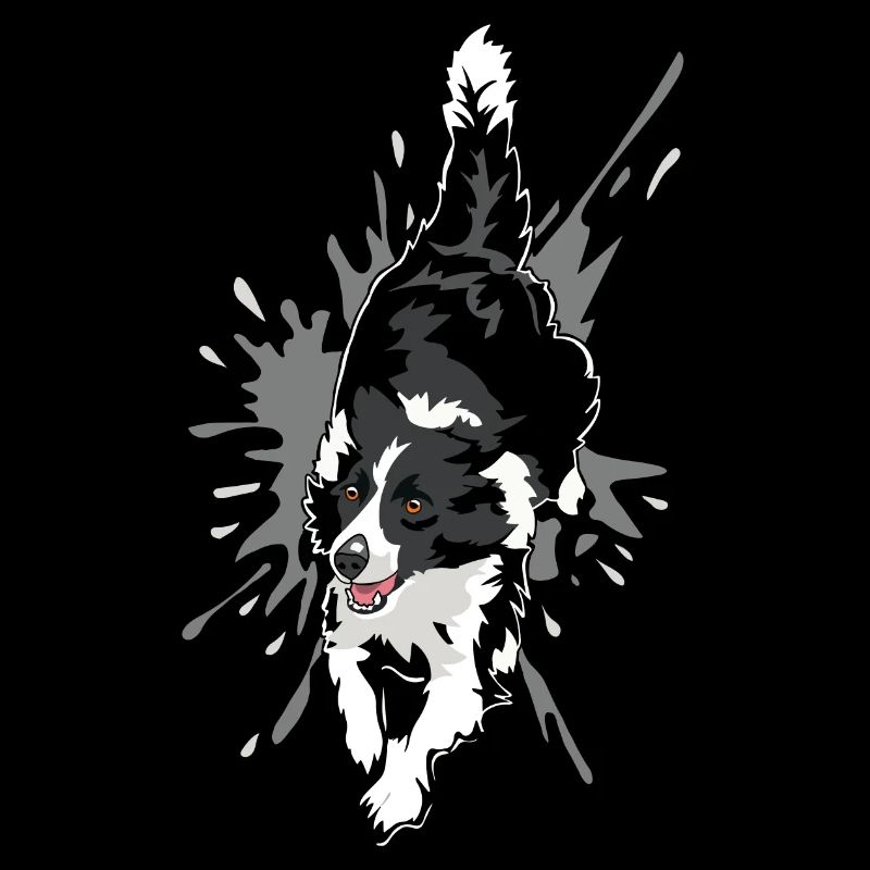 border collie en action