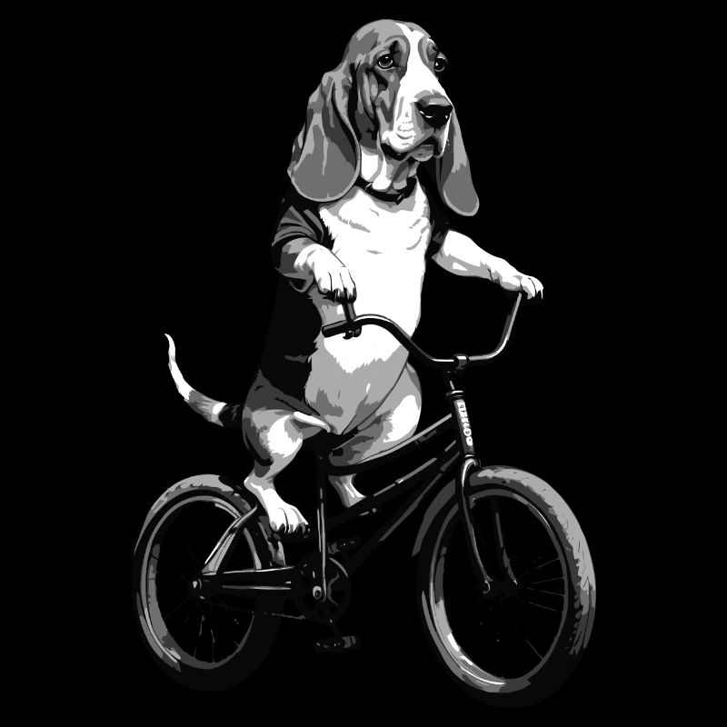 Chien sur un vélo bassethound