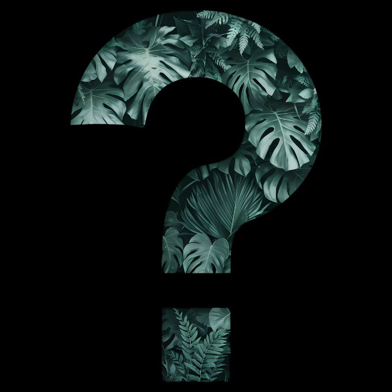 Plantes tropicales Point d’interrogation Jungle Monstera