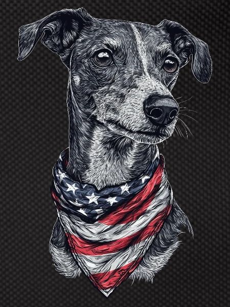 Whippet