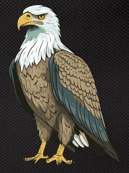 Eagle Animal