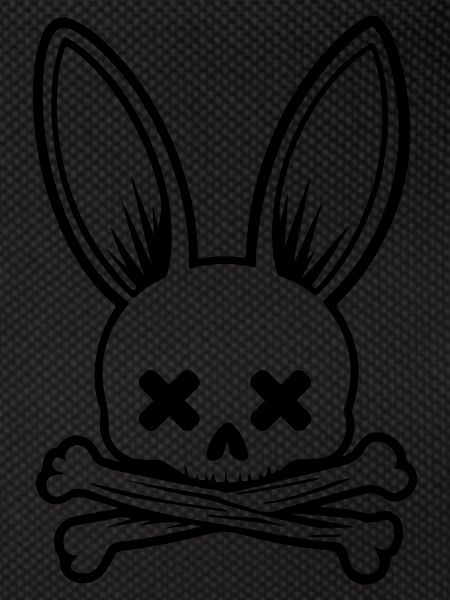 Rabbit Skull Skeleton