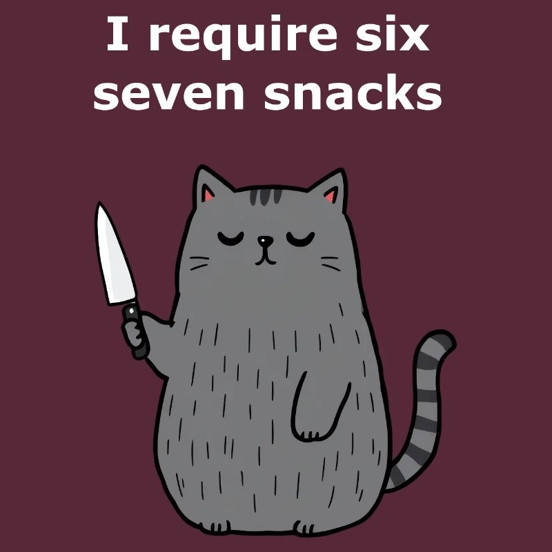 6-7 Mème Internet 6 7 Snack Cat