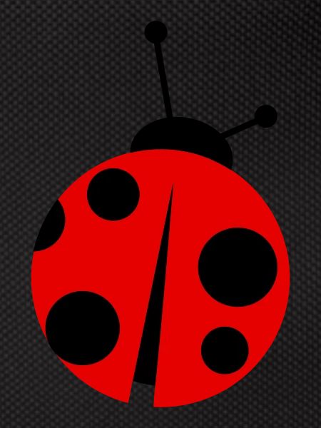 ladybird