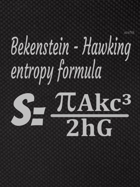 Bekenstein-Hawking entropy formula