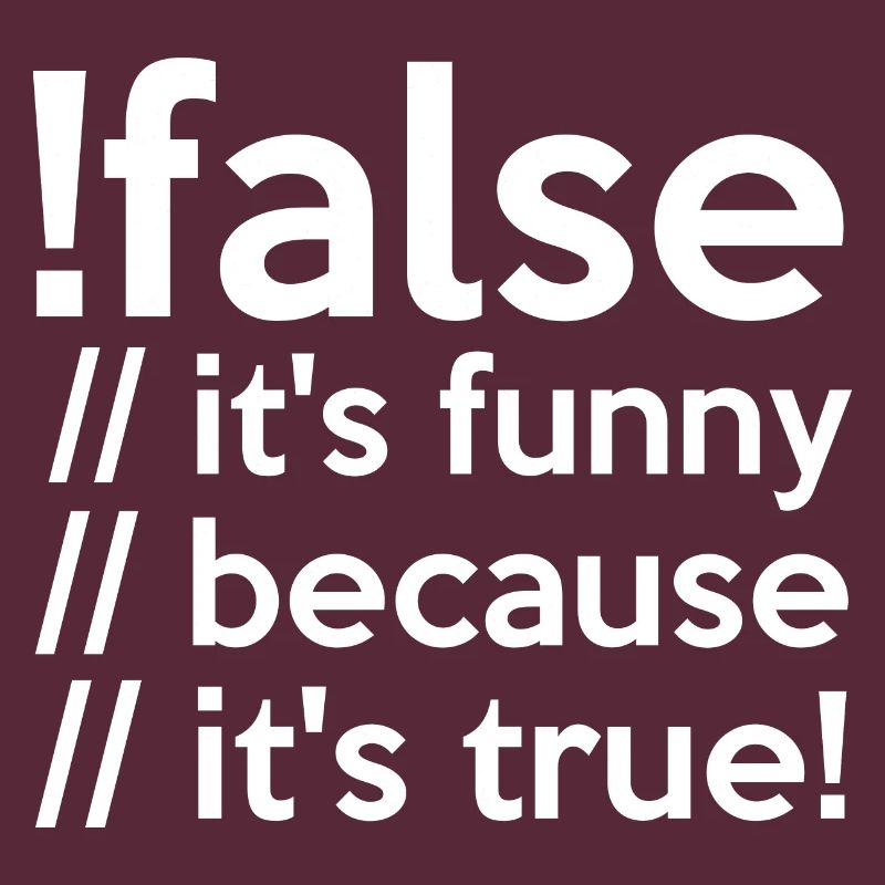 Programmierer false true Informatiker Student Code