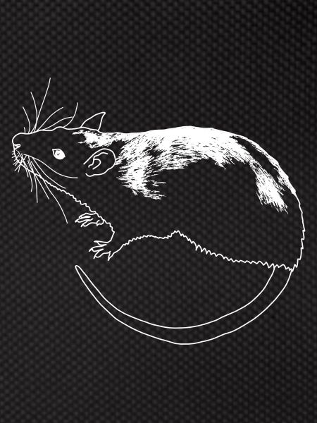 Rat lineart