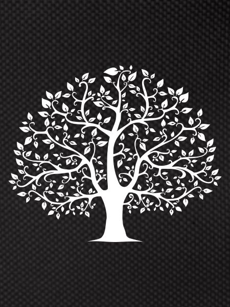 Baum