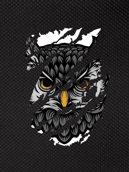 Owl - Eule