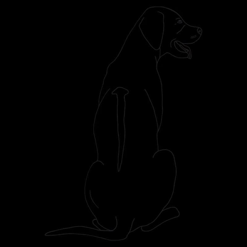 Rhodesian Ridgeback
