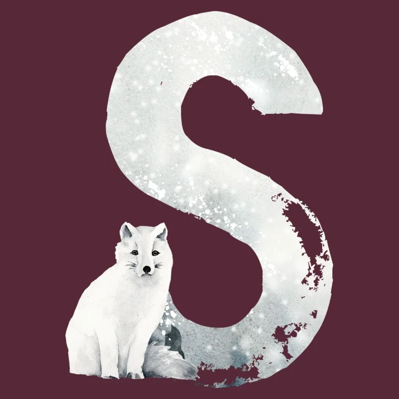 S – decorative character – winter
