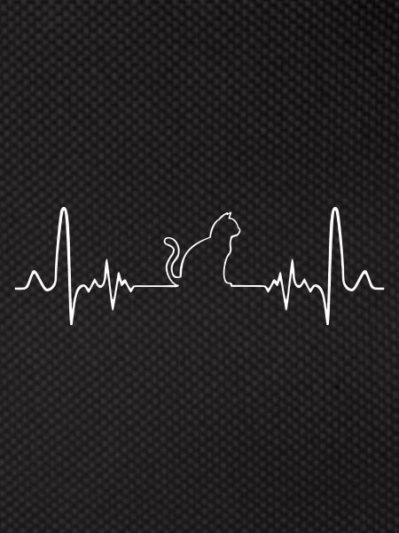 EKG cat
