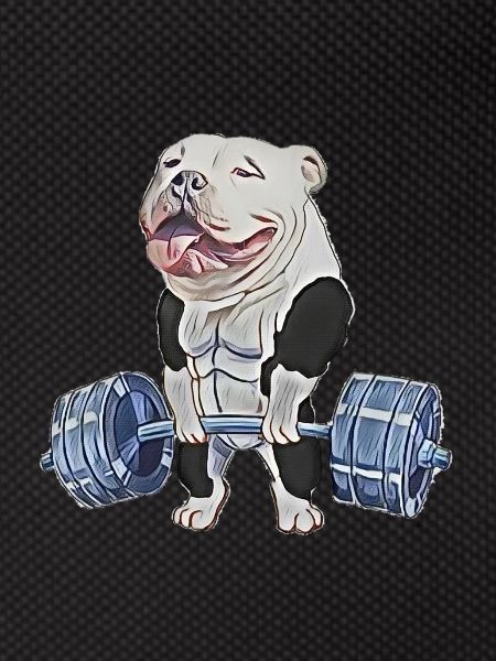 Muscle Bully
