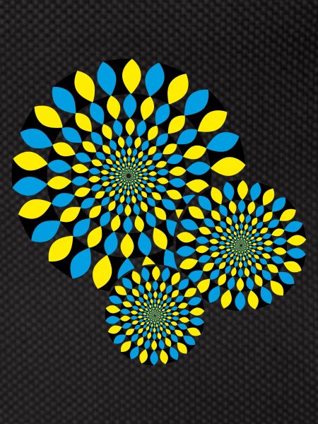 Optical Illusion