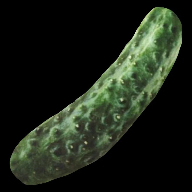 Cornichon