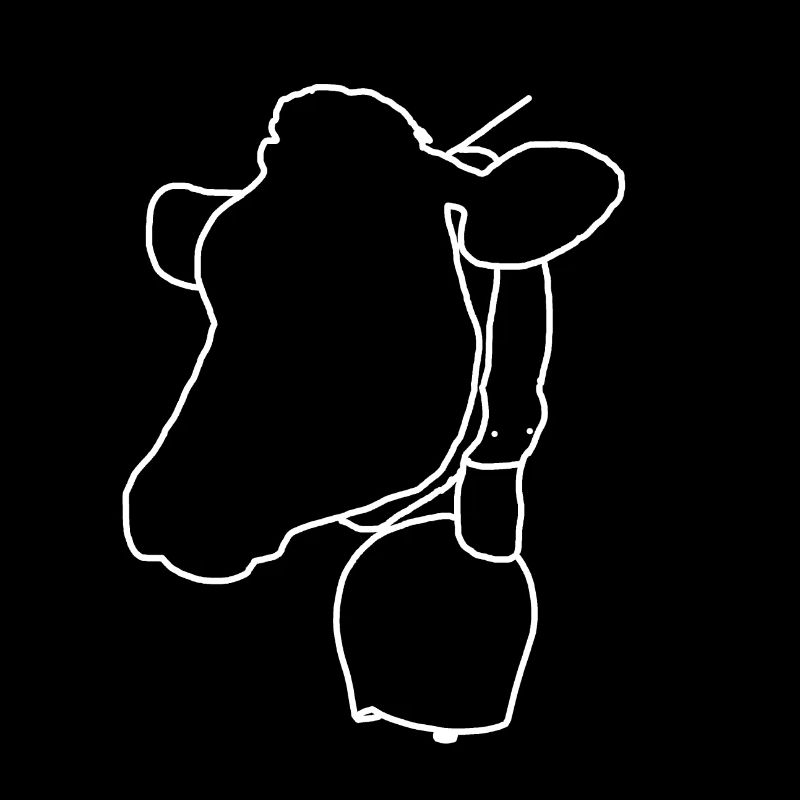 Tête de vache blanche