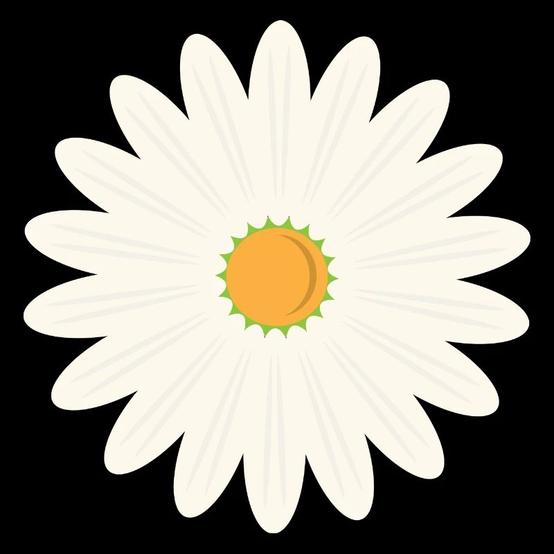 Margerite blossom
