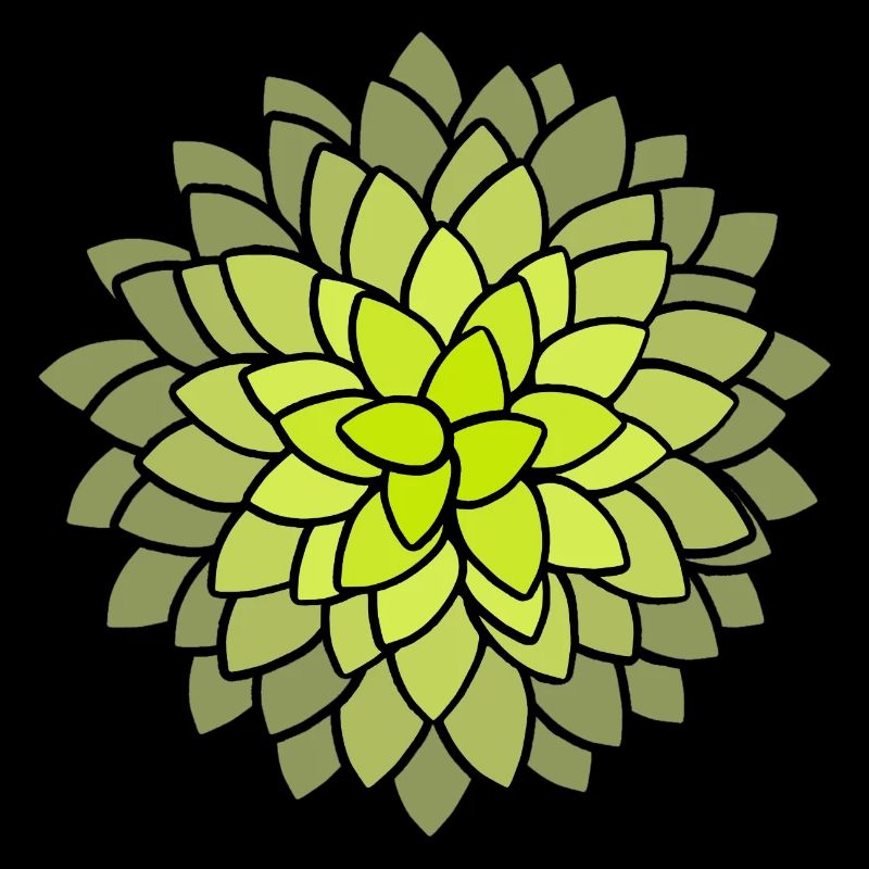 MUMS Fleurs Fleurs Fleurs