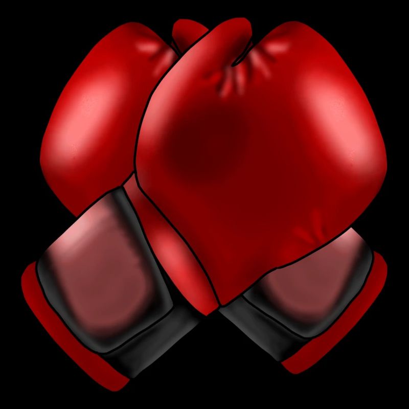 Boxhandschuhe 4