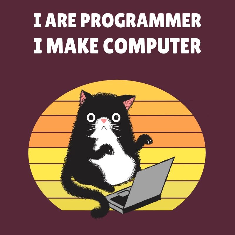 I are Programmer I Make Computer