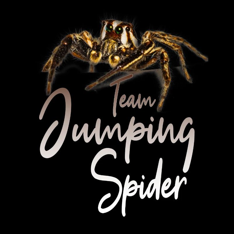 Jumping spider Jumping spiders Spiders