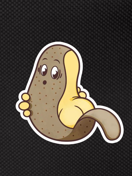 Potato