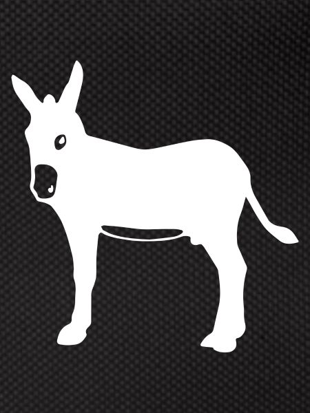 Donkey Esel