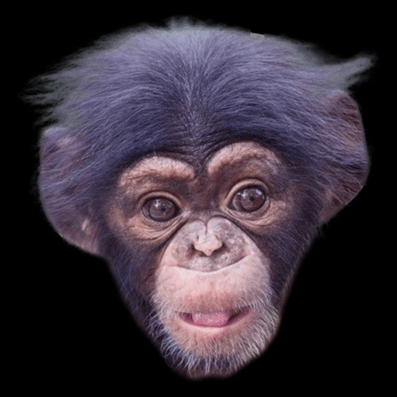 Mode de visage de singe mignon