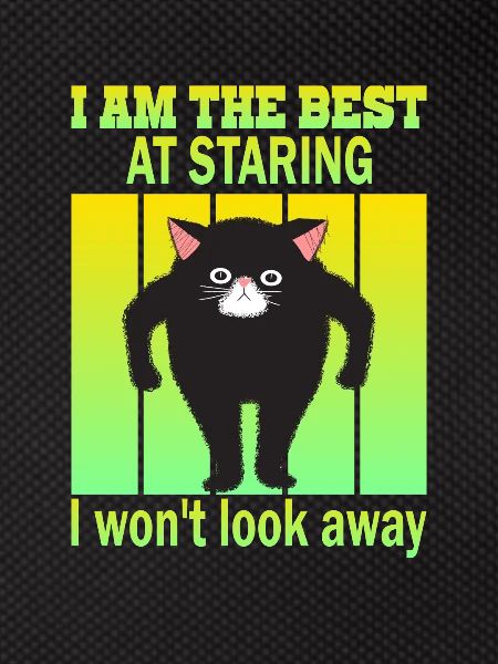 Staring Cat - Cats Staring
