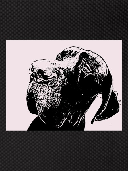 Great Dane