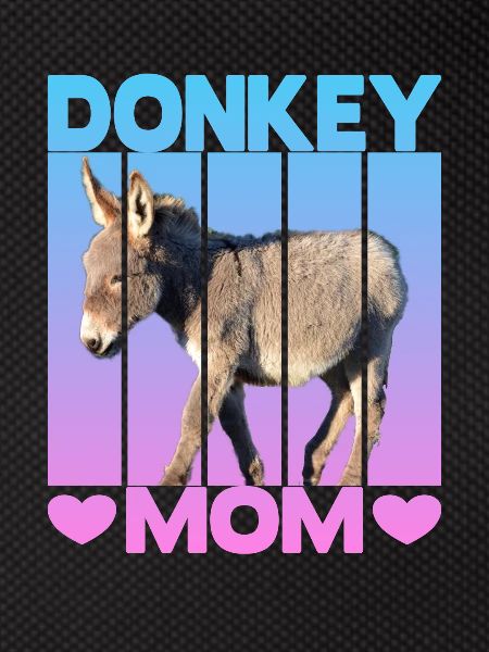 Donkey Mom