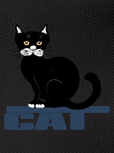 Chat