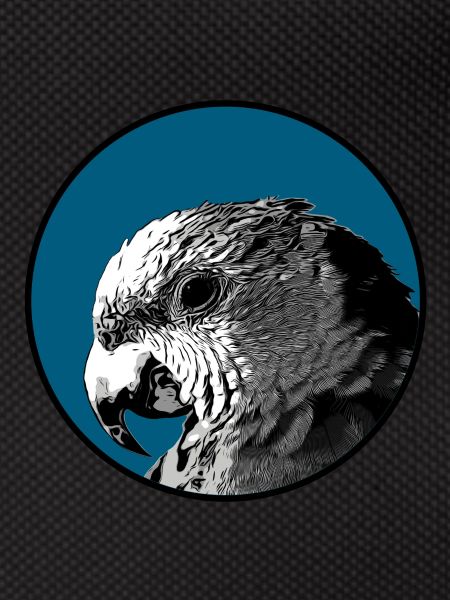 Amazon portrait
