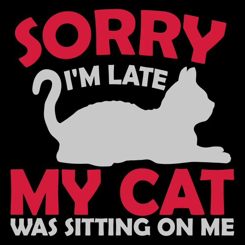 désolé chat était assis