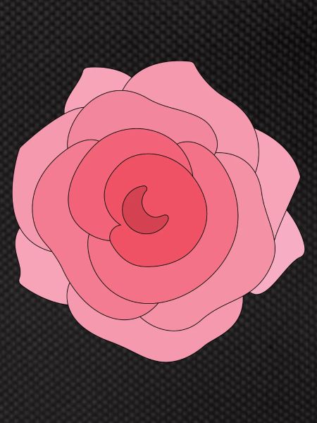 Beautiful Rose