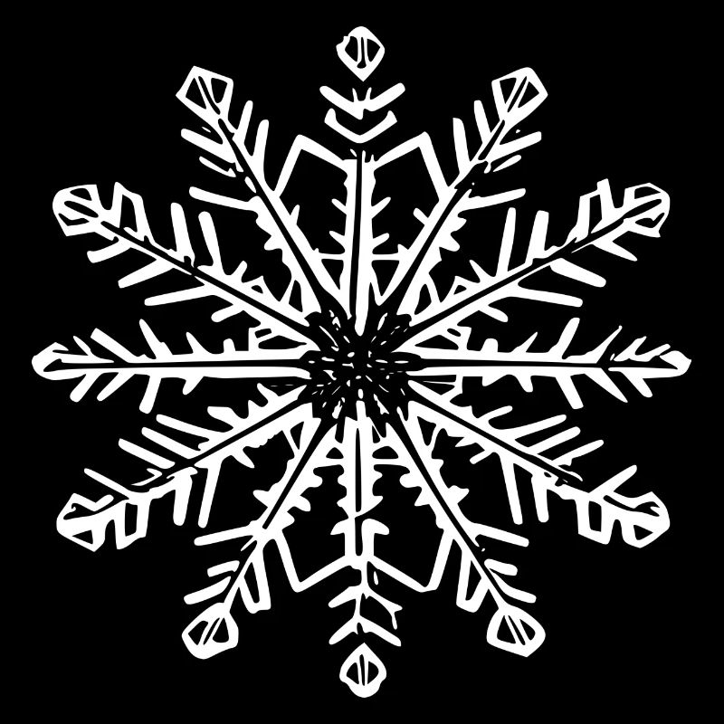 Snowflake Snow Winter Christmas Cold 11