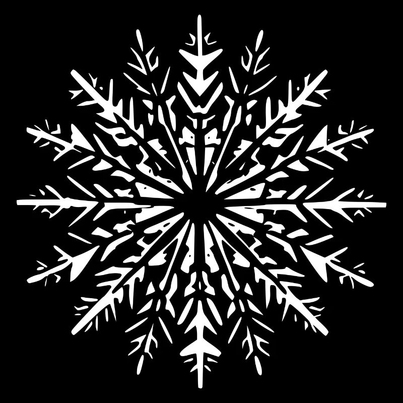 Snowflake Snow Winter Christmas Cold 1