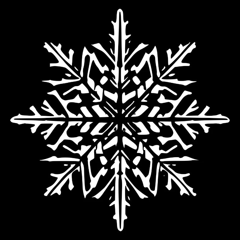 Snowflake Snow Winter Christmas Cold 3