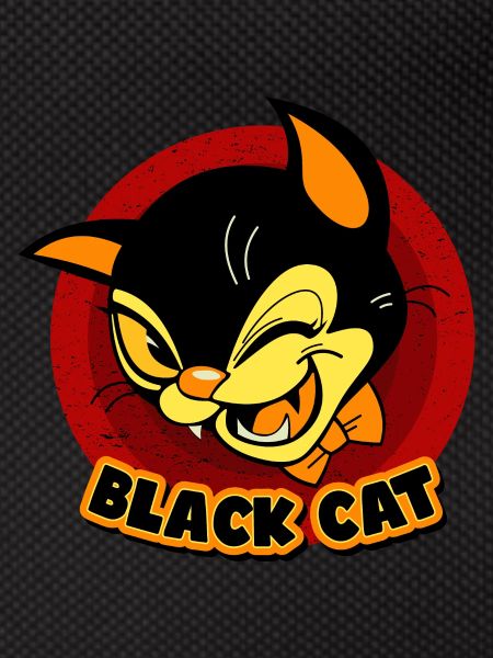 Smart Black Cat