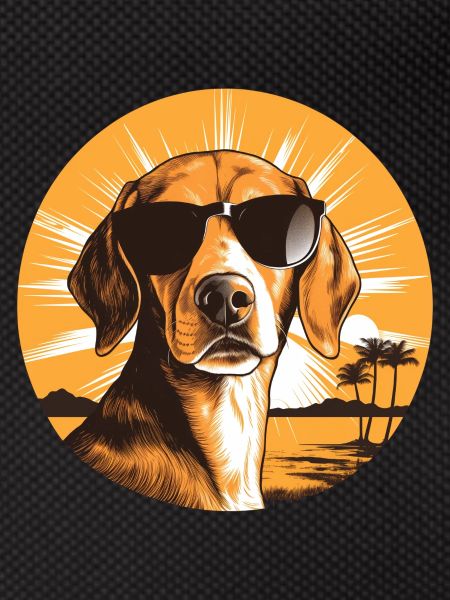 Beagle